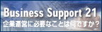 Business Support 21